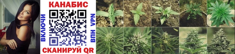 Купить наркотики сайты Инта Cocaine Каннабис Мефедрон ГАШИШ