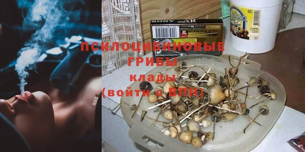 не бодяженный Аркадак
