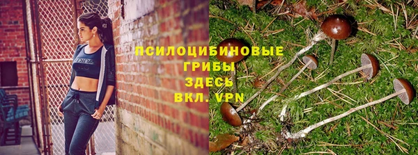 не бодяженный Аркадак
