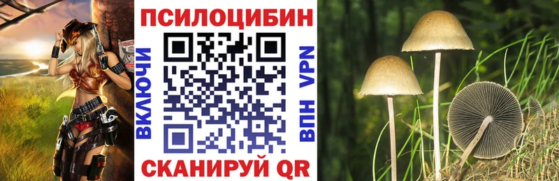 Псилоцибиновые грибы прущие грибы  Инта 